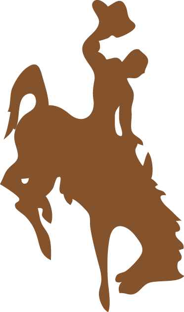 Wyoming Cowboys 1965-2005 Primary Logo diy iron on heat transfer